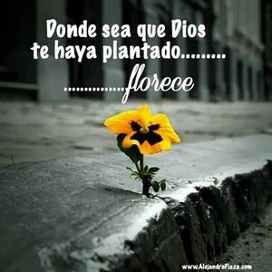 Meet your Posher, Lalita